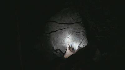 Gavel v11, Miller River - Beta Video from Masa