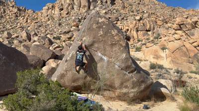 Swinging Richard v4, Joshua Tree - Beta Video from breakingbeta