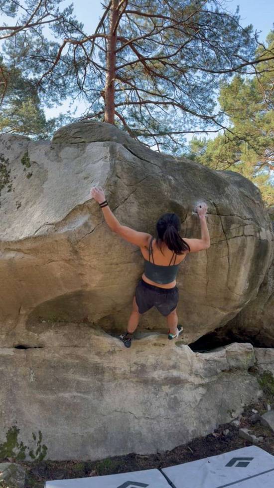 Tortue Sentinelle v5, Fontainebleau - Beta Video from jenna_kwon
