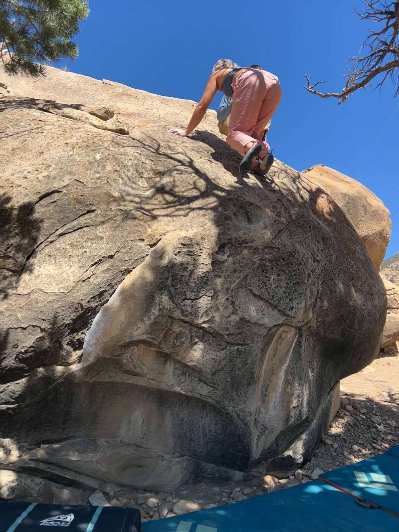 Pop Belly v1, Joe's Valley - Beta Video from liftingwithlia