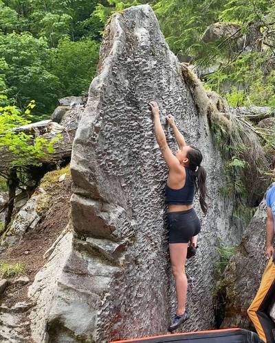 Dinosaur Skin v4, Miller River - Beta Video from stefakneebar