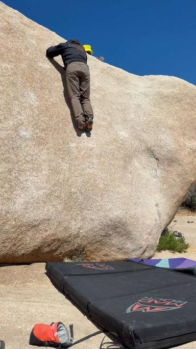 Hensel Face v0, Joshua Tree - Beta Video from tendonissues
