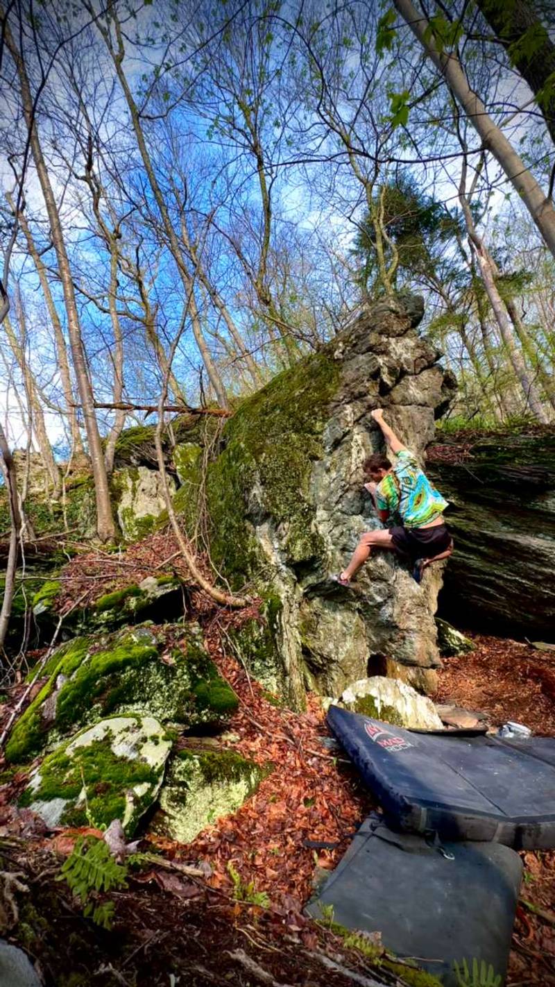 Psychedelic v1, Gunpowder Falls - Beta Video from Theitmann