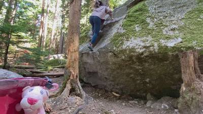 Stu's Dyke v0, Squamish - Beta Video from WildDirtyPaws