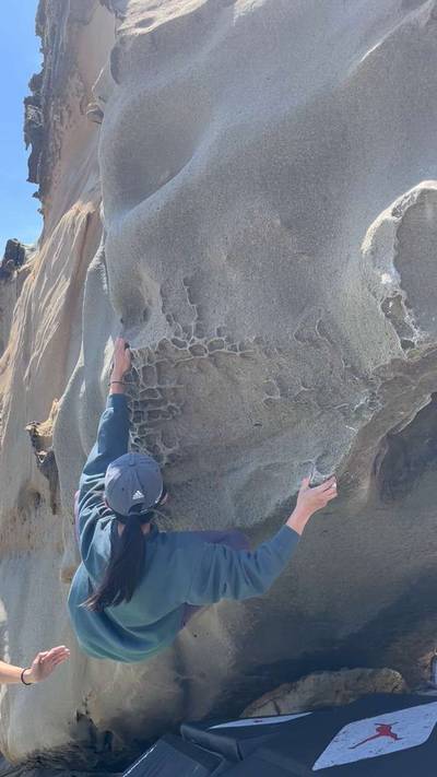 Triceratops v4, Salt Point - Beta Video from little_bean