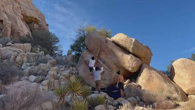 Yabba Dabba Don't v4, Joshua Tree - Beta Video from no.ni.bars