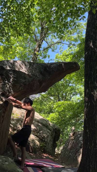 Le Beak Dyno v5, Cowell - Beta Video from purp