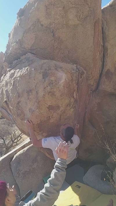 Mulligan Variation v7, Joshua Tree - Beta Video from Branerd