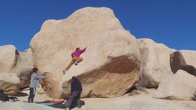 Stem Gem v4, Joshua Tree - Beta Video from Branerd