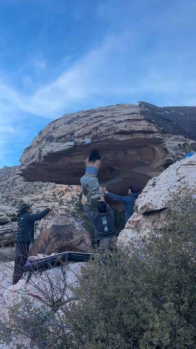 Bonsai v7, Red Rock - Beta Video from clairew