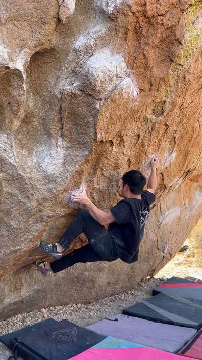 Center Direct v10, Bishop - Beta Video from calves