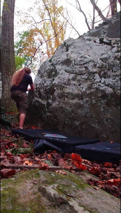 Feather Left v0, Patapsco Valley State Park - Beta Video from HodgepodgeFoxe