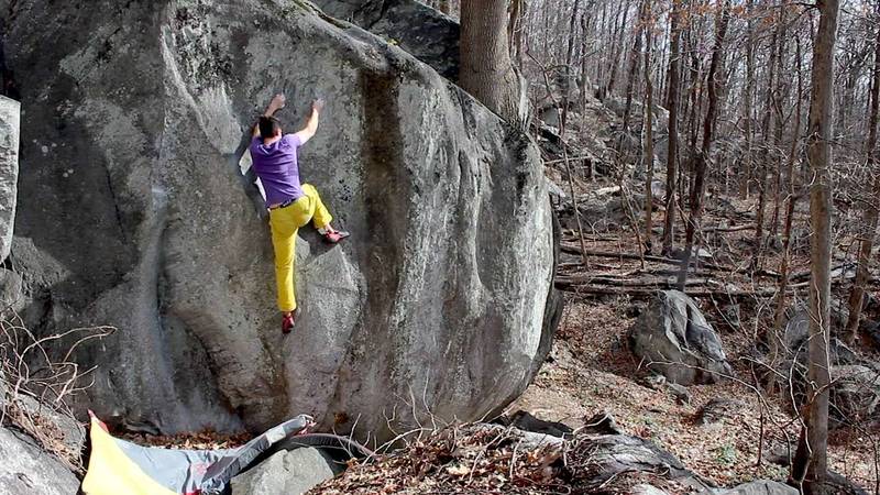 Schrodinger's Cat v7, Rumbling Bald - Beta Video from ChrisNeal