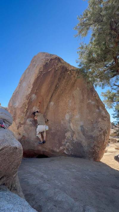 Relic v9, Joshua Tree - Beta Video from sarah_christina