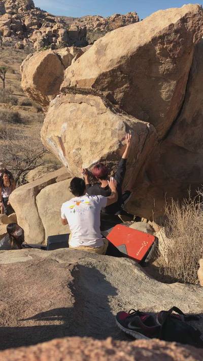 Mulligan Variation v7, Joshua Tree - Beta Video from j.k0000