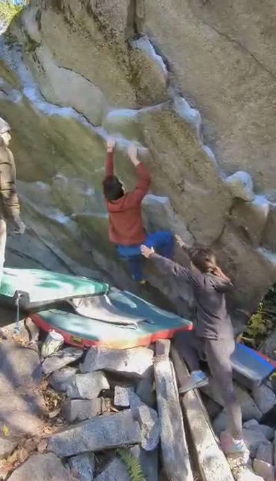 Obesity v7, Gold Bar - Beta Video from elim