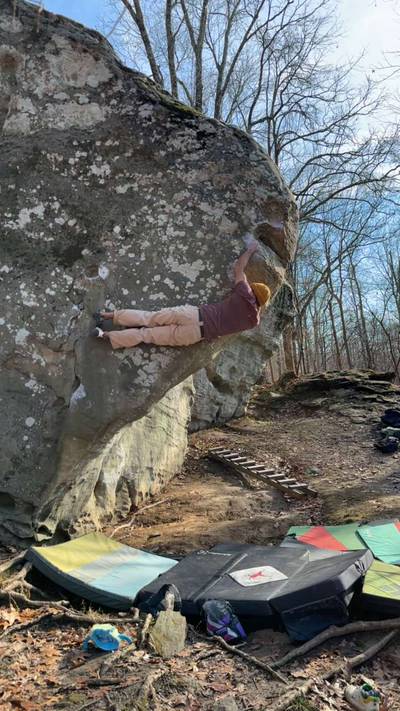 Jungle Book v8, Holy Boulders - Beta Video from Costoff