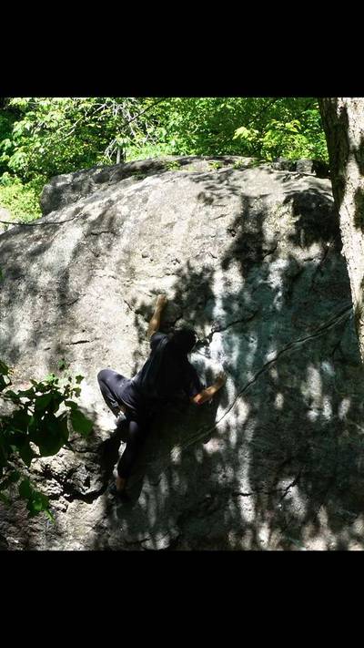 Booby Trapped Dog Dish v2, Northwest Branch - Beta Video from chub