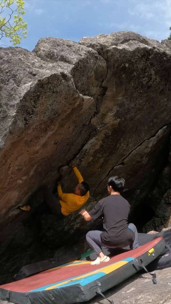 Rocky Mountain Wildflowers v2, Canmore & Kananaskis - Beta Video from Aibert