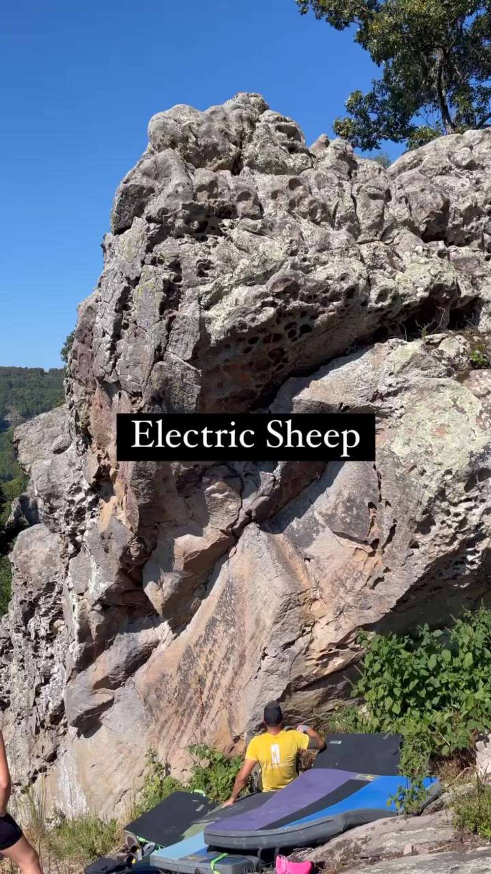 Electric Sheep v2, Horseshoe Canyon Ranch - Beta Video from MarioTheClimber