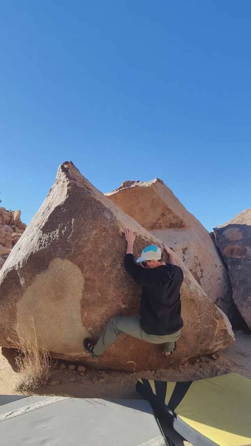 Sweet Tooth v1, Joshua Tree - Beta Video from mdelliott