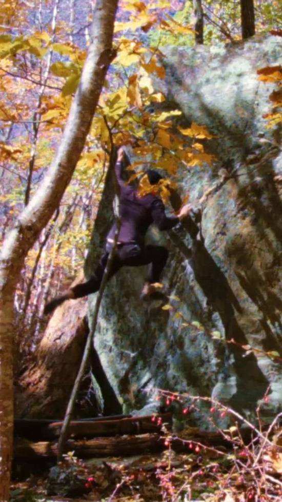 Dogwood Blossoms v8, Gunpowder Falls - Beta Video from chub