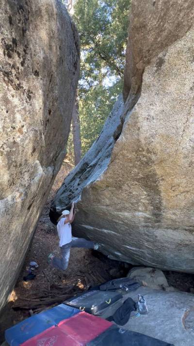 Metamorphosis v10, Black Mountain - Beta Video from hamslaminyourhamjam