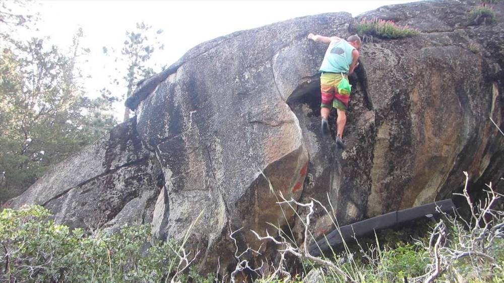 Flower Child v3, Mineral King - Beta Video from Vasko6d