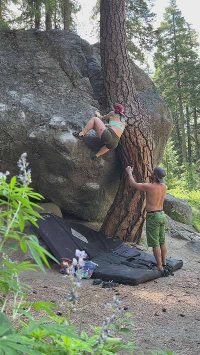 Twisted Tree v4, Leavenworth - Beta Video from mountainmarie