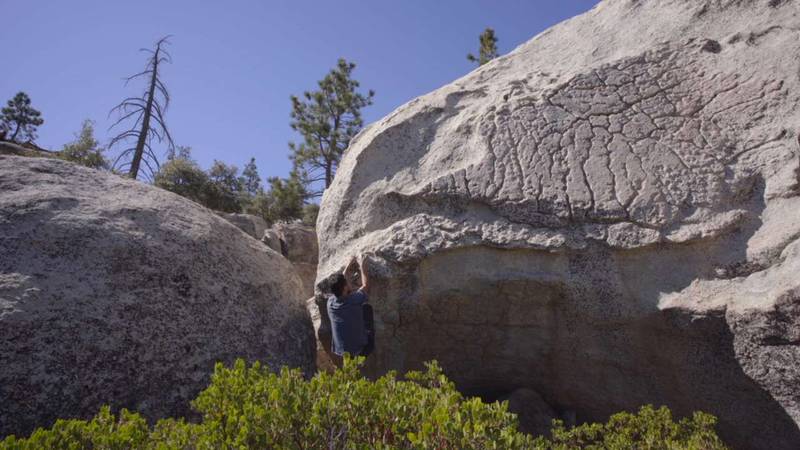 The Scrub Jay v3, Horse Flats - Beta Video from breakingbeta