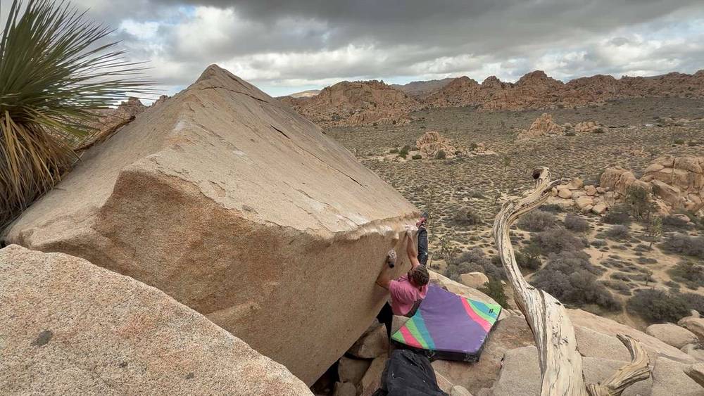 Meowdy v6, Joshua Tree - Beta Video from Baileybeluga