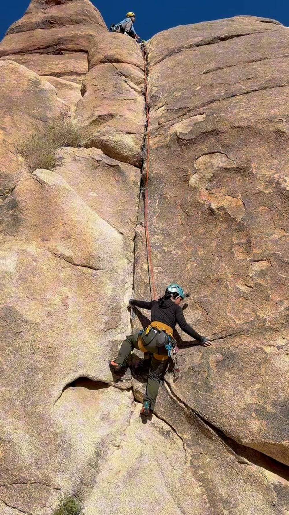 The Mikado 5.7, Joshua Tree - Beta Video from anakrabs