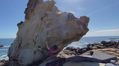 Triceratops v4, Salt Point - Beta Video from smalltownboy