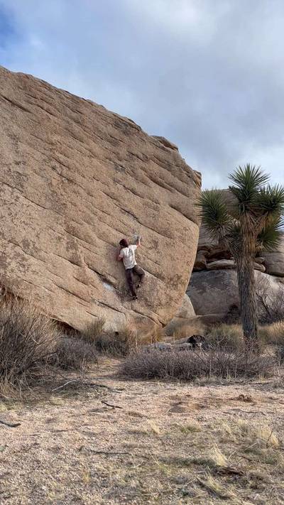 Slashface v3, Joshua Tree - Beta Video from gloveworld