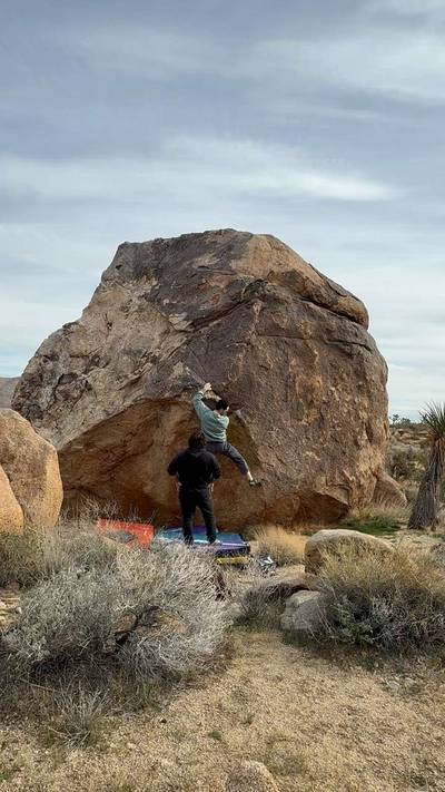 X1 v0, Joshua Tree - Beta Video from tendonissues