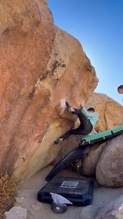 Monkeyflower v3, Joshua Tree - Beta Video from mdelliott