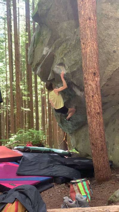 Meat Eating Vegetarian v6, North Bend - Beta Video from nicolemaksi