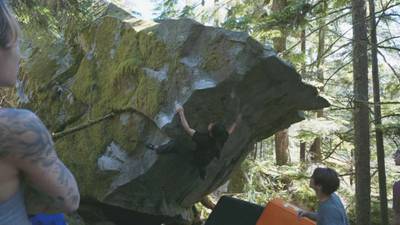 World's Best V7 v7, Gold Bar - Beta Video from swansea