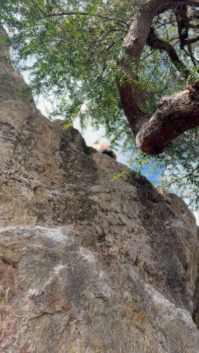White Men Can't Jump v7, Berkeley - Beta Video from SpicyMike