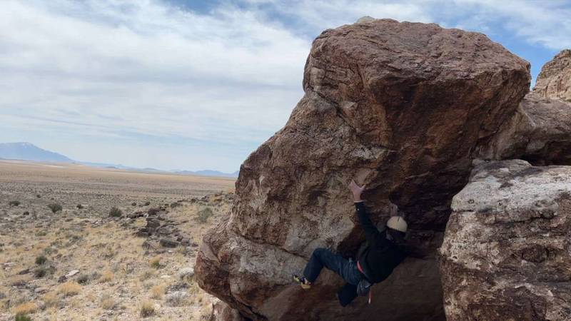 Golden Teacher v7, Ibex - Beta Video from adenparker