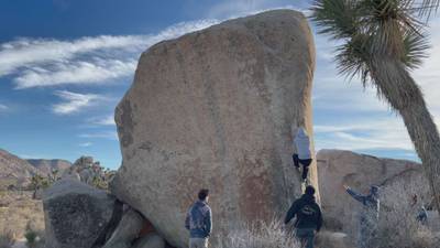 White Rastafarian v3, Joshua Tree - Beta Video from showerbum01