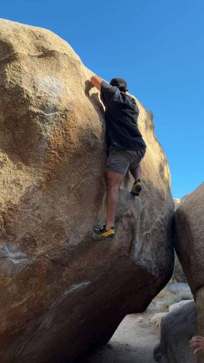 Nitwit v0, Joshua Tree - Beta Video from sameersends