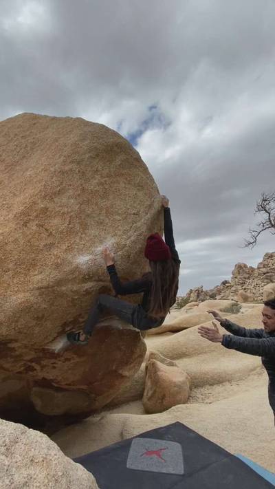 Mystical Vibrations v5, Joshua Tree - Beta Video from LittleBetaBird