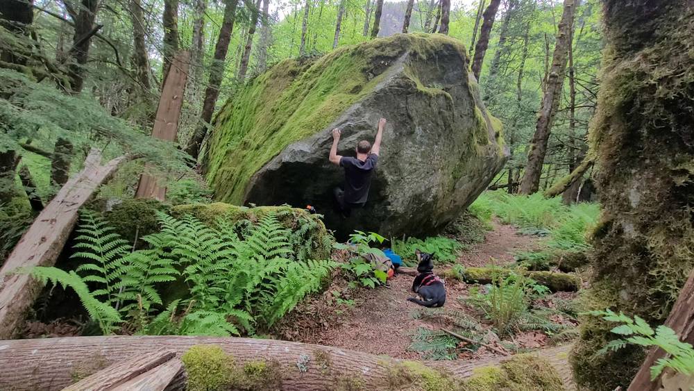 Fall Out v6, Fraser Valley - Beta Video from HoogstraS