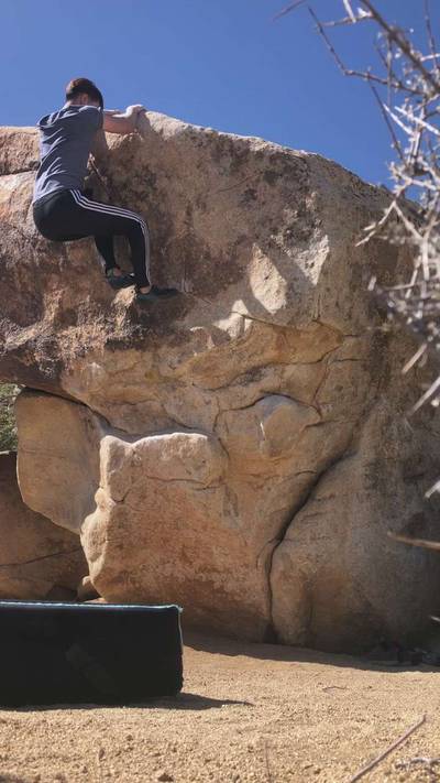 Western Roll v3, Joshua Tree - Beta Video from j.k0000