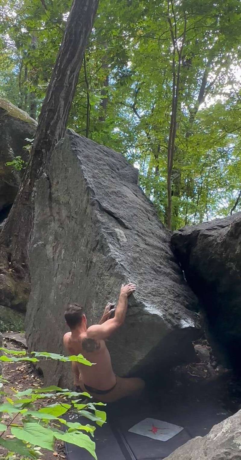 Lazy Susan v4, Rumbling Bald - Beta Video from delaney.