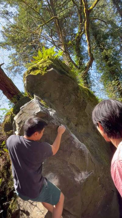 Gut Crunch v5, Carver - Beta Video from Scooters