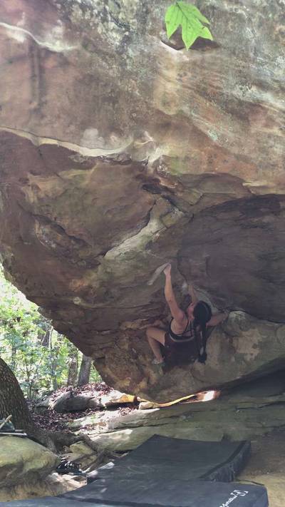 Mulletino v6, Horse Pens 40 - Beta Video from fallsoffrocks