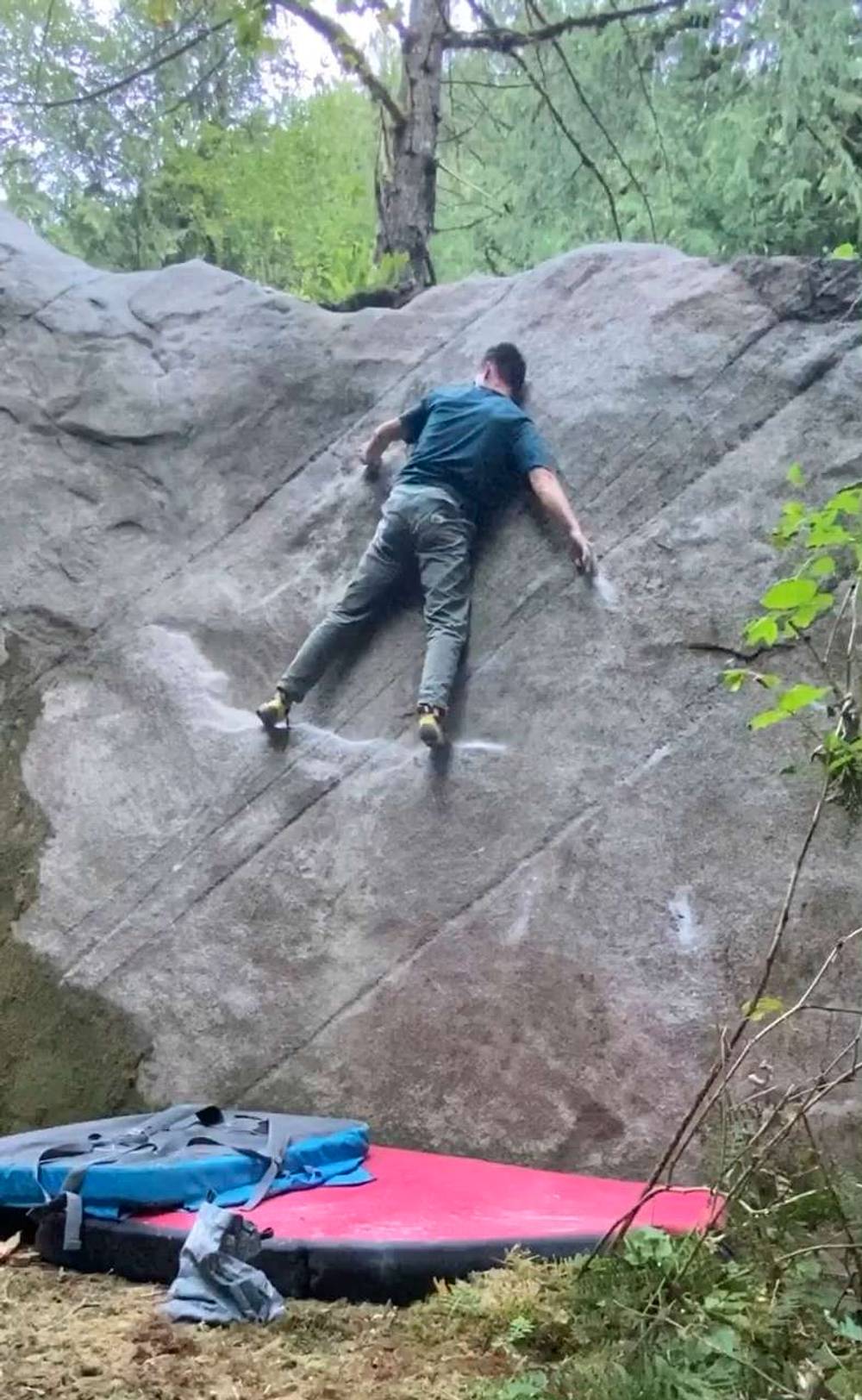 Napping Cariboo v4, Fraser Valley - Beta Video from tredford