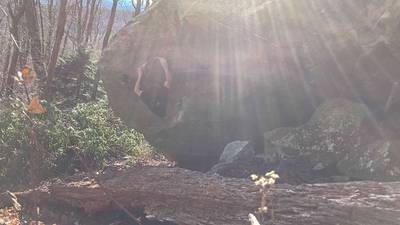 Wet Willy v13, Boone - Beta Video from MattNunes